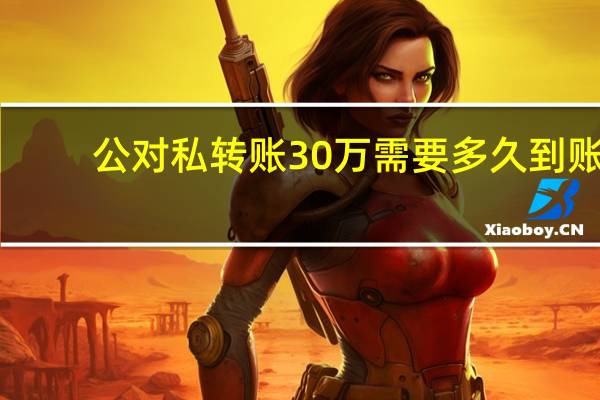 公对私转账30万需要多久到账