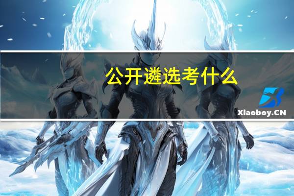 公开遴选考什么