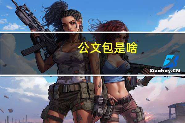 公文包是啥