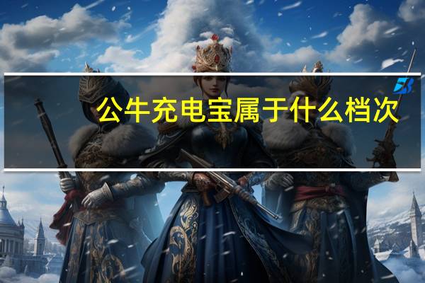 公牛充电宝属于什么档次