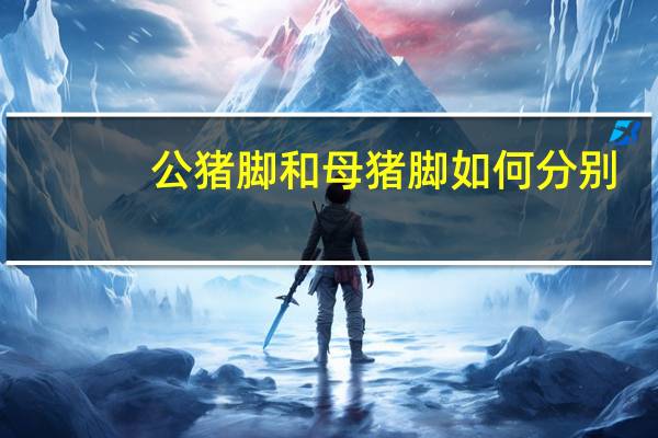 公猪脚和母猪脚如何分别