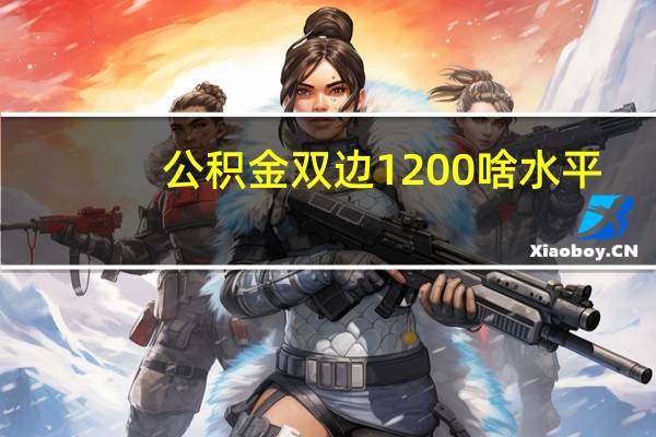 公积金双边1200啥水平
