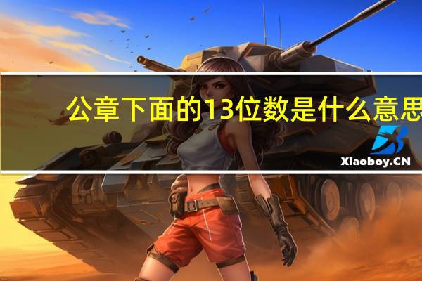 公章下面的13位数是什么意思_