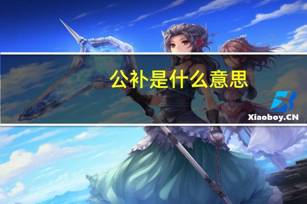 公补是什么意思