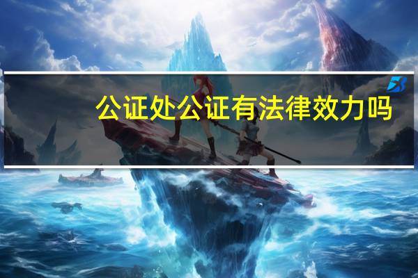 公证处公证有法律效力吗