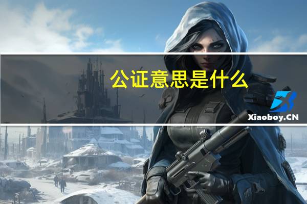 公证意思是什么