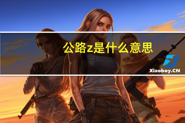 公路z是什么意思