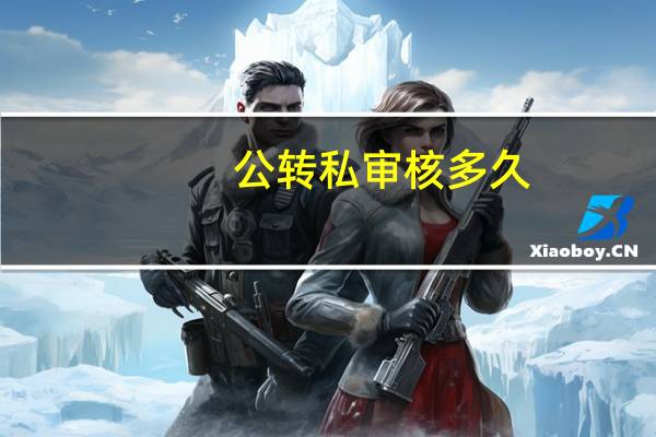 公转私审核多久