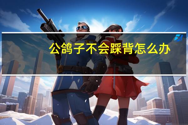 公鸽子不会踩背怎么办