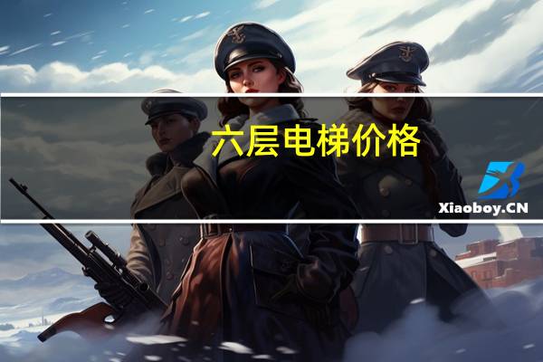 六层电梯价格