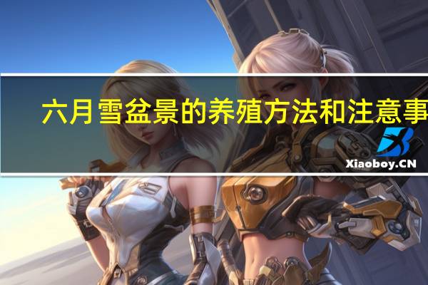 六月雪盆景的养殖方法和注意事项