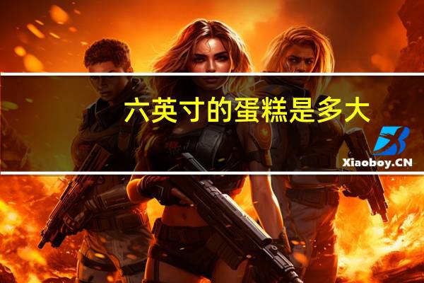 六英寸的蛋糕是多大
