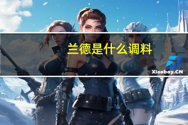 兰德是什么调料