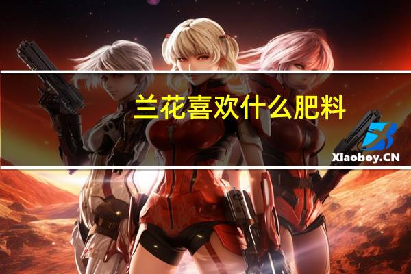 兰花喜欢什么肥料