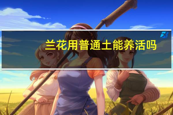 兰花用普通土能养活吗