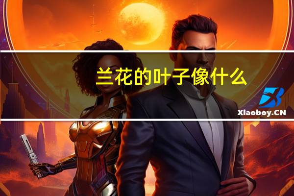 兰花的叶子像什么