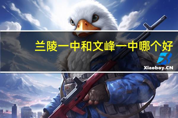 兰陵一中和文峰一中哪个好