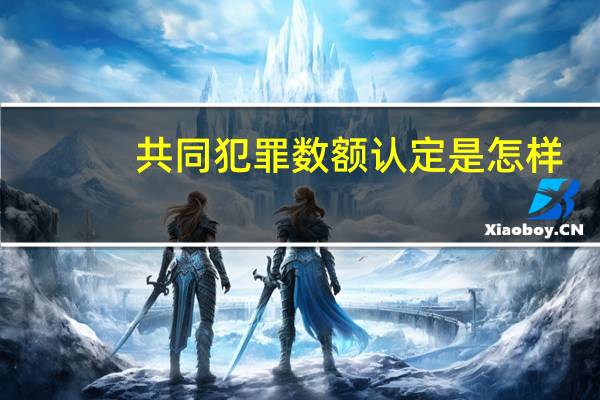 共同犯罪数额认定是怎样