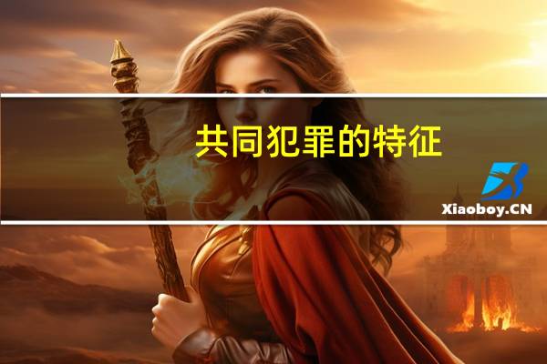 共同犯罪的特征