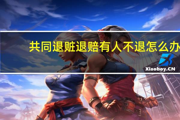 共同退赃退赔有人不退怎么办