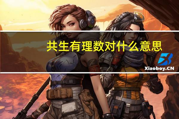 共生有理数对什么意思