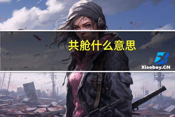 共舱什么意思