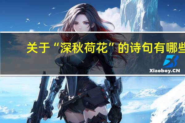 关于“深秋荷花”的诗句有哪些