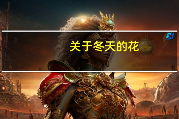 关于冬天的花