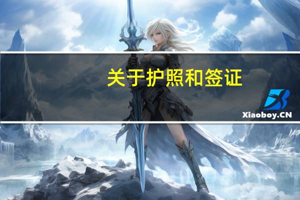 关于护照和签证