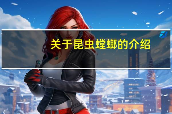 关于昆虫螳螂的介绍