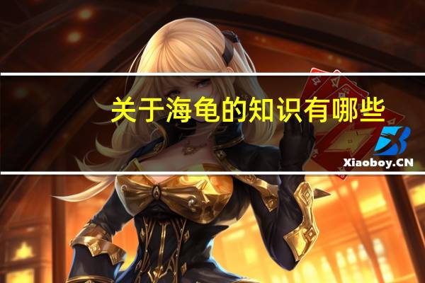 关于海龟的知识有哪些
