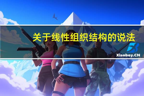 关于线性组织结构的说法，错误的是（ ）。