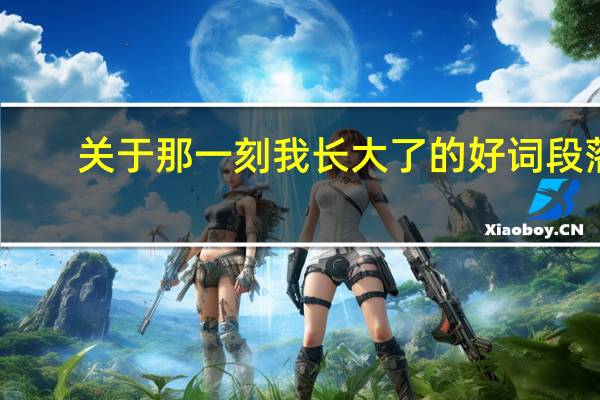 关于那一刻我长大了的好词段落