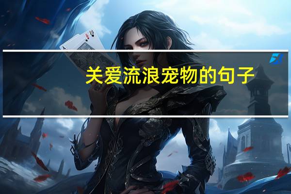 关爱流浪宠物的句子