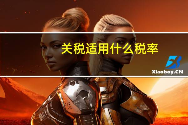 关税适用什么税率