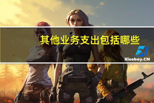 其他业务支出包括哪些