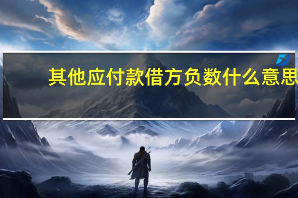 其他应付款借方负数什么意思