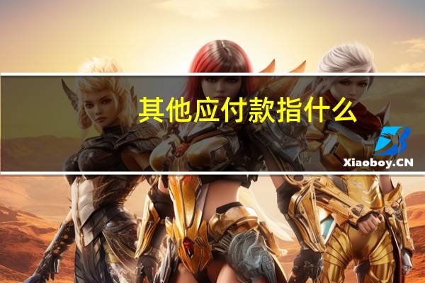 其他应付款指什么