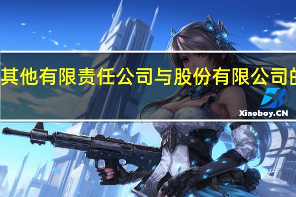 其他有限责任公司与股份有限公司的区别