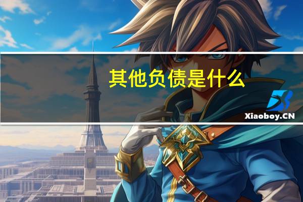 其他负债是什么
