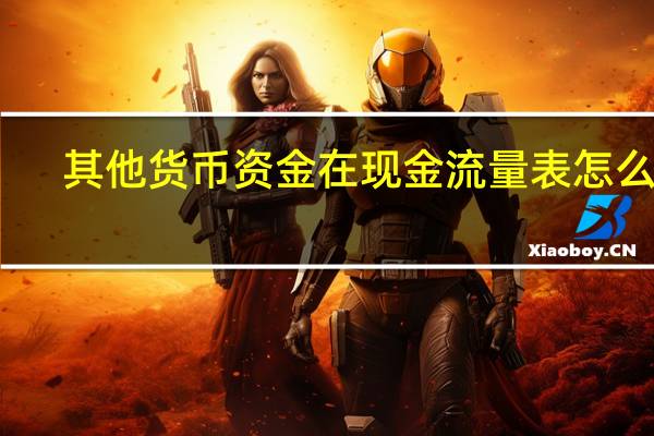 其他货币资金在现金流量表怎么填