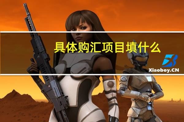 具体购汇项目填什么