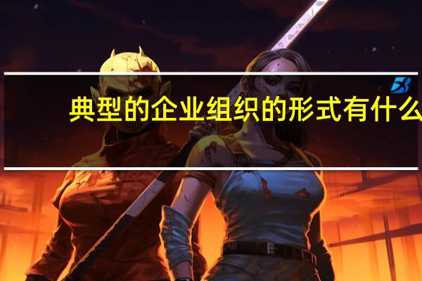 典型的企业组织的形式有什么