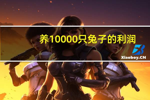 养10000只兔子的利润