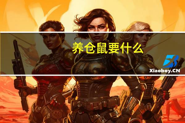养仓鼠要什么