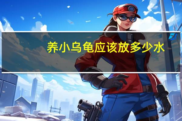 养小乌龟应该放多少水