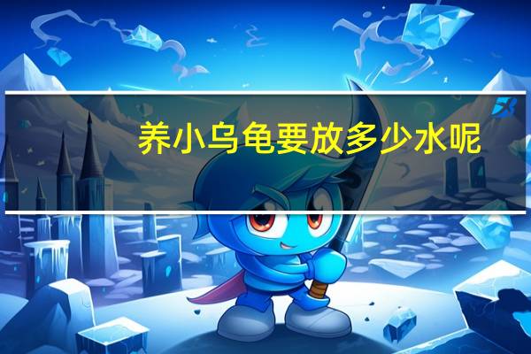 养小乌龟要放多少水呢