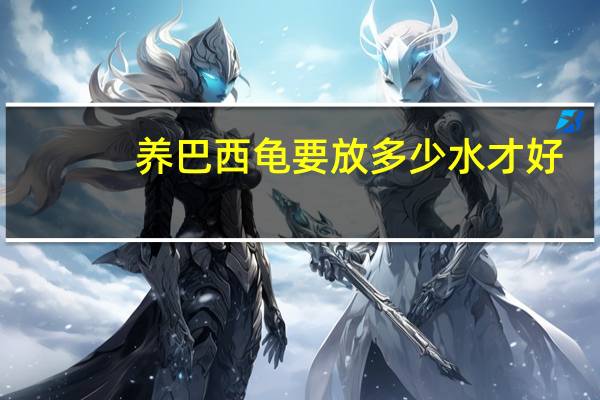 养巴西龟要放多少水才好