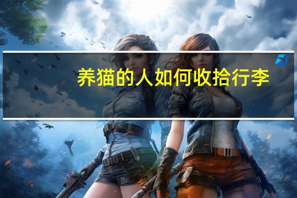 养猫的人如何收拾行李