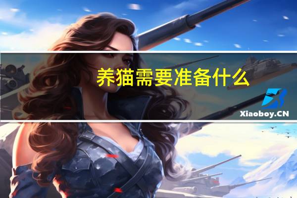 养猫需要准备什么